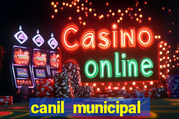 canil municipal porto alegre